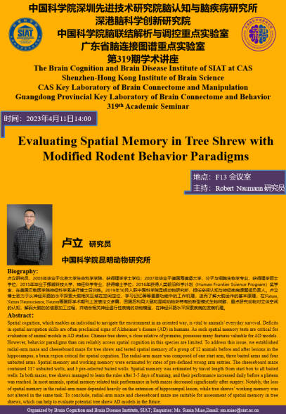 Evaluating Spatial Memory in Tree Shrew with Modified Rodent Behavior Paradigms